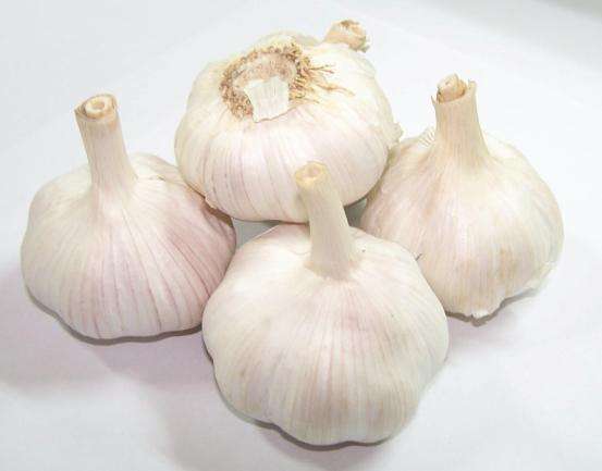 &#122;&#111;&#116;&#121;&#20013;&#27431;